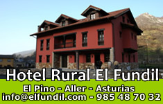 Banner del Fundil en El Pino-Felechosa