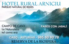 Hotel Rural Arniciu en Caso