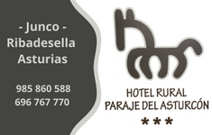 Banner de Hotel Paraje del Asturc�n
