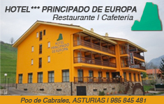 Hotel Principado de Europa