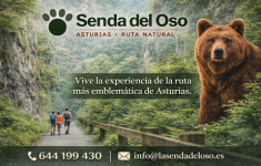 La senda del oso